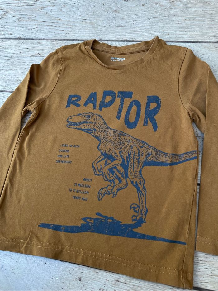 Teeshirt manches longue dinosaures 5 ans - photo numéro 4