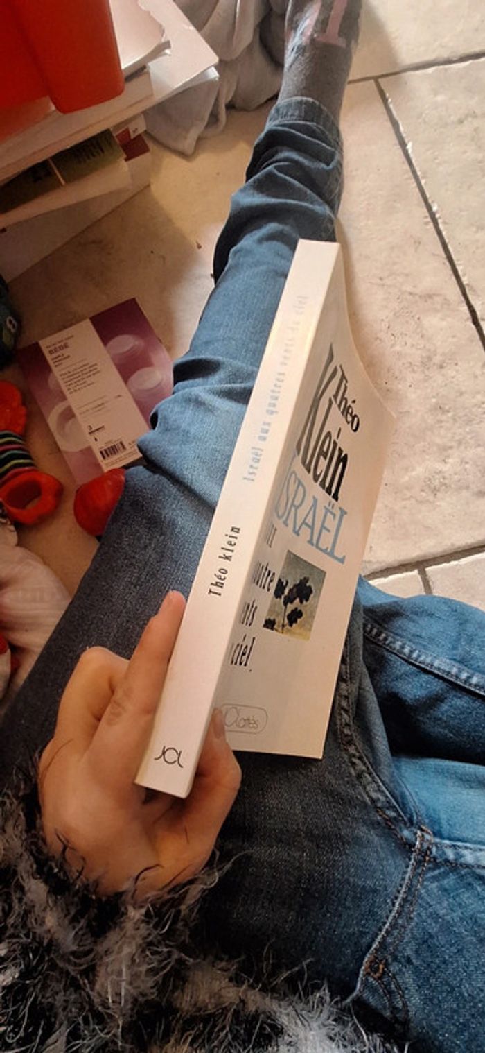 Israël au quatre vent du ciel livre - photo numéro 2