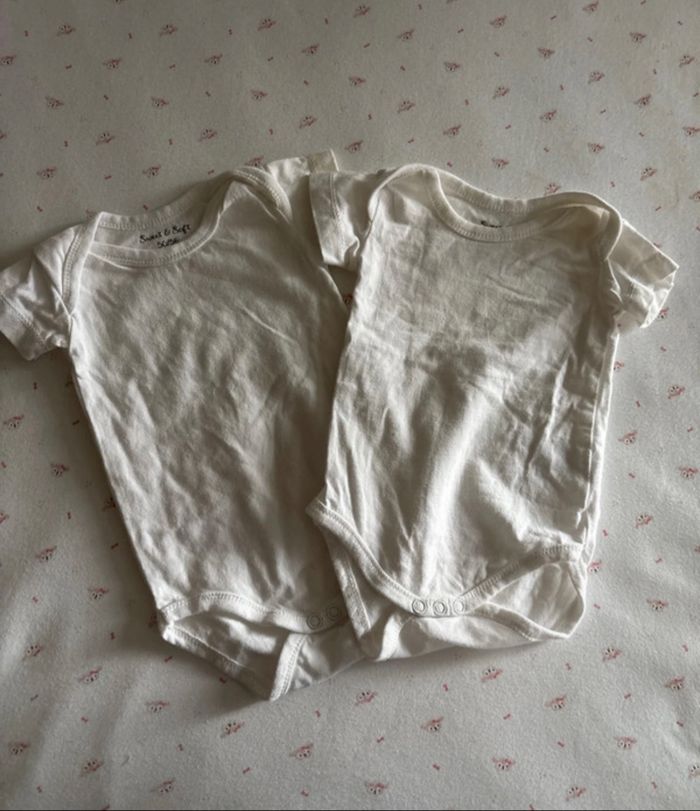 Lot bodies
