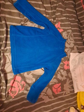 Pull polaire