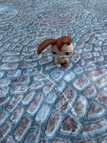 Petshop lapin 🐱🐶 Vintage collectors
