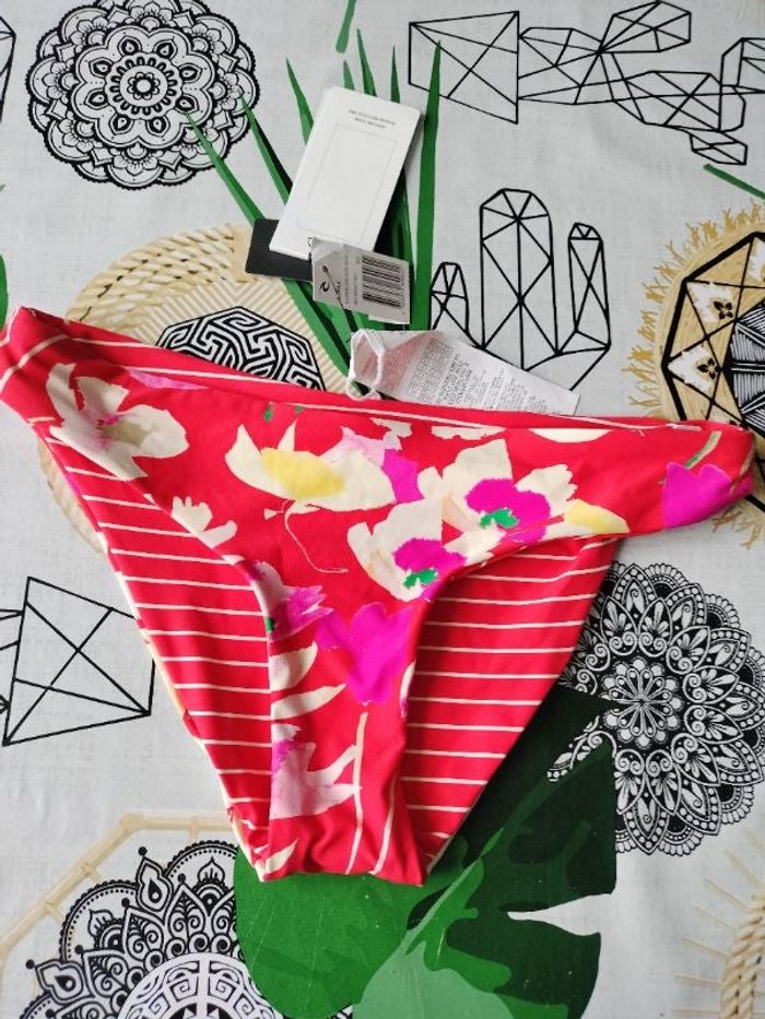 Culotte