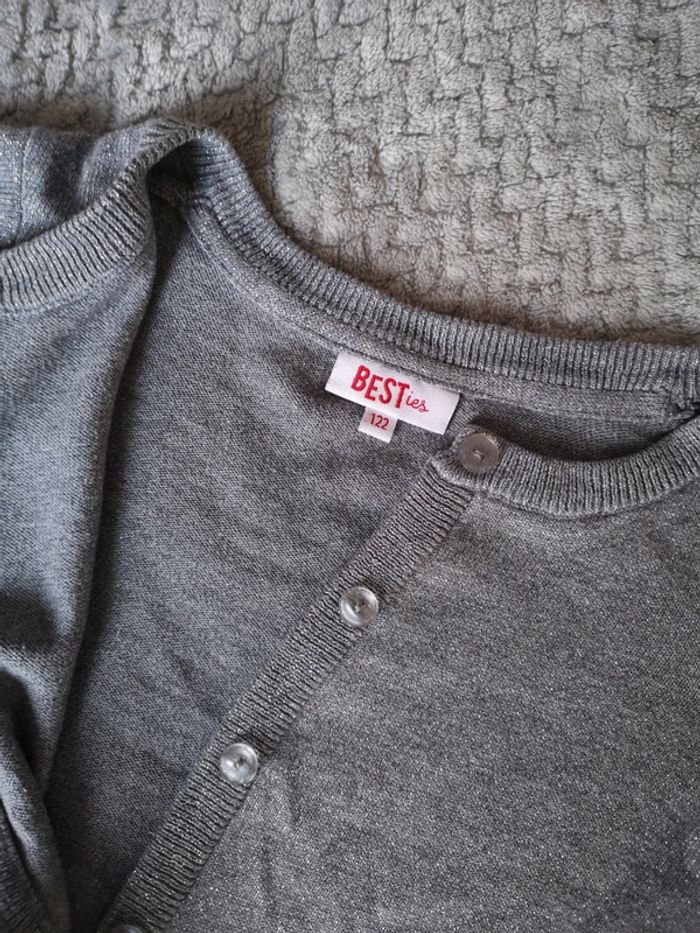 Gilet gris bestie - photo numéro 2