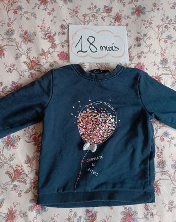 Pull 18 mois en très bon état
