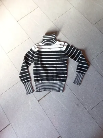 Pull rayé col roulé