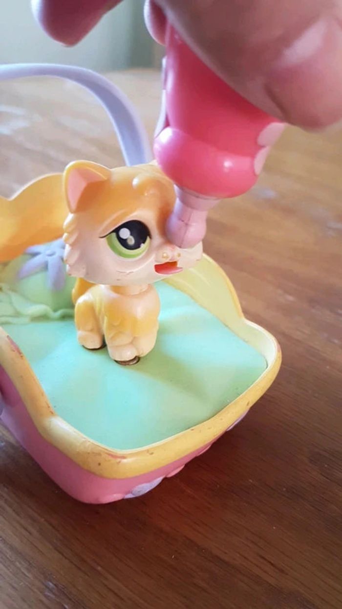 Chat petshop angora qui boit son lait - photo numéro 5