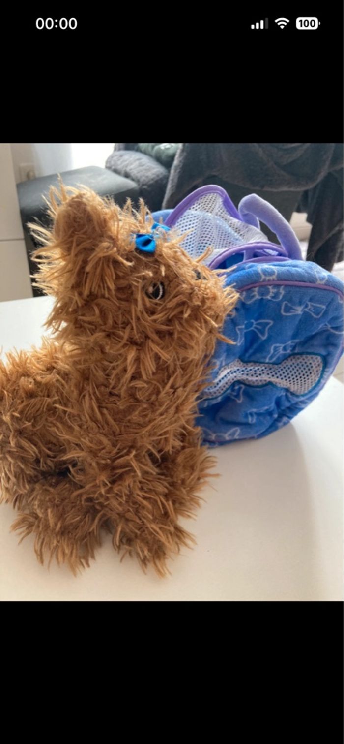 Petit chien modèle décoiffé et son panier/sac de transport - photo numéro 5