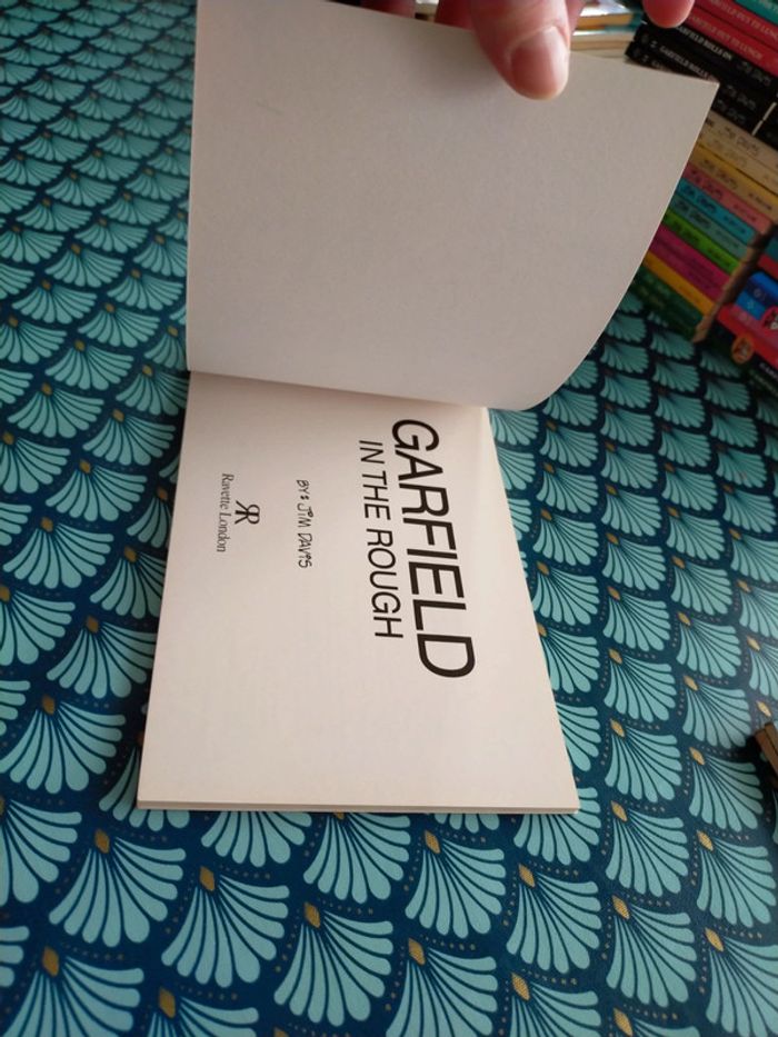 Garfield in the rough - photo numéro 7