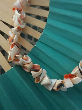 Collier coquillages véritable