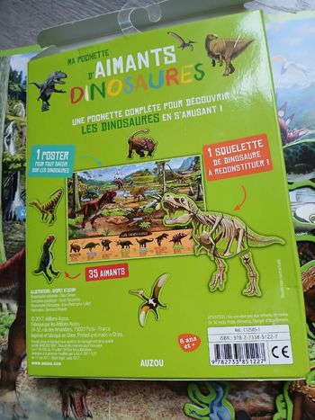 Pochette d'aimant dinosaure 
