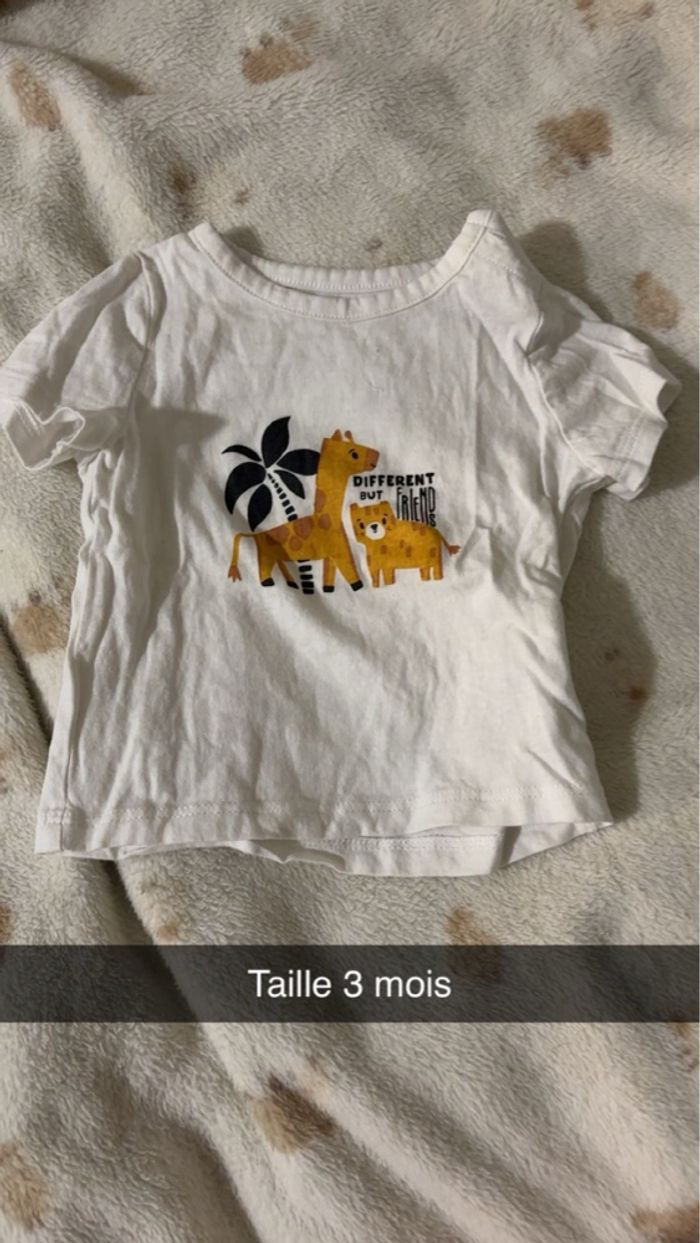 T-shirt Kiabi - photo numéro 4