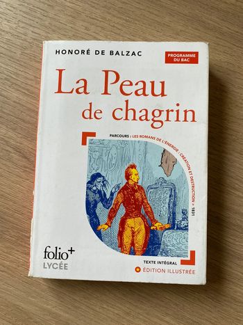 Roman la peau de chagrin