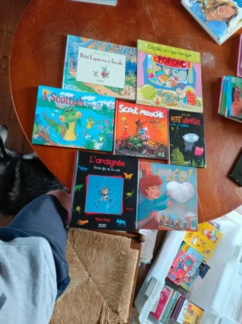 Lot livres  4