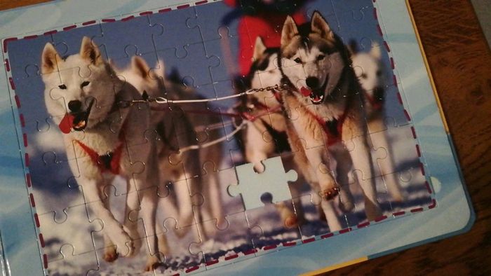 Livre puzzle le chien - photo numéro 8