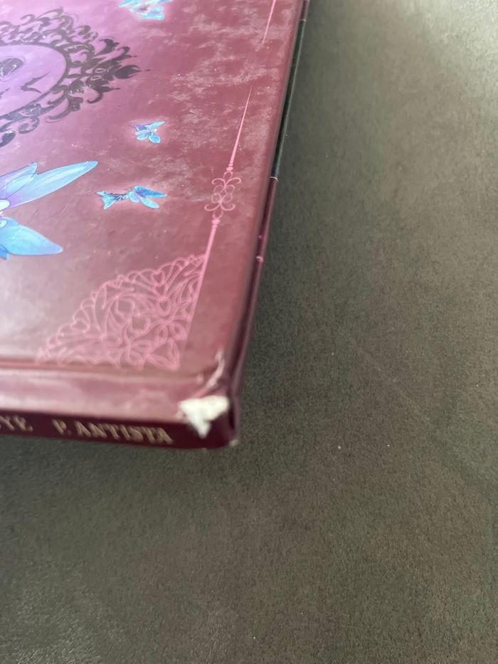Bd sorceline tome 2 - photo numéro 3