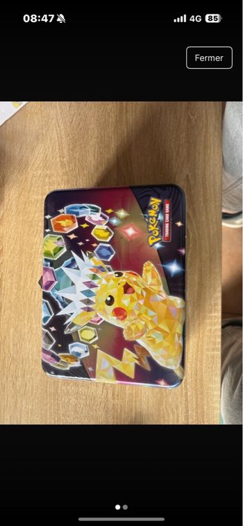 Valise Pokémon vide 