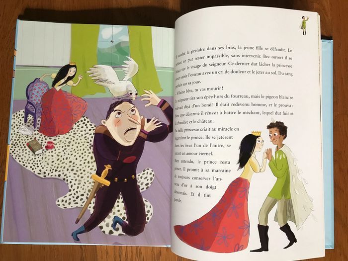 Pirates, Princesses & Compagnie - Milan Jeunesse - photo numéro 2