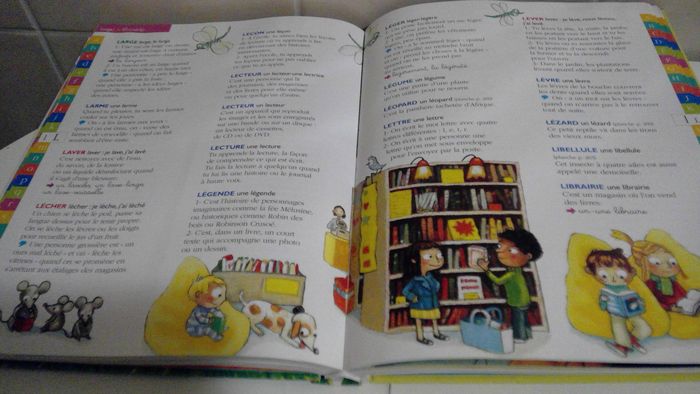 mon premier dictionnaire 4 - 7 ans - photo numéro 3