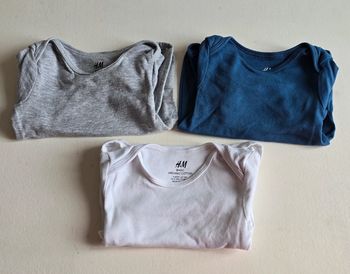 Lot de 3 bodies manches courtes 12mois