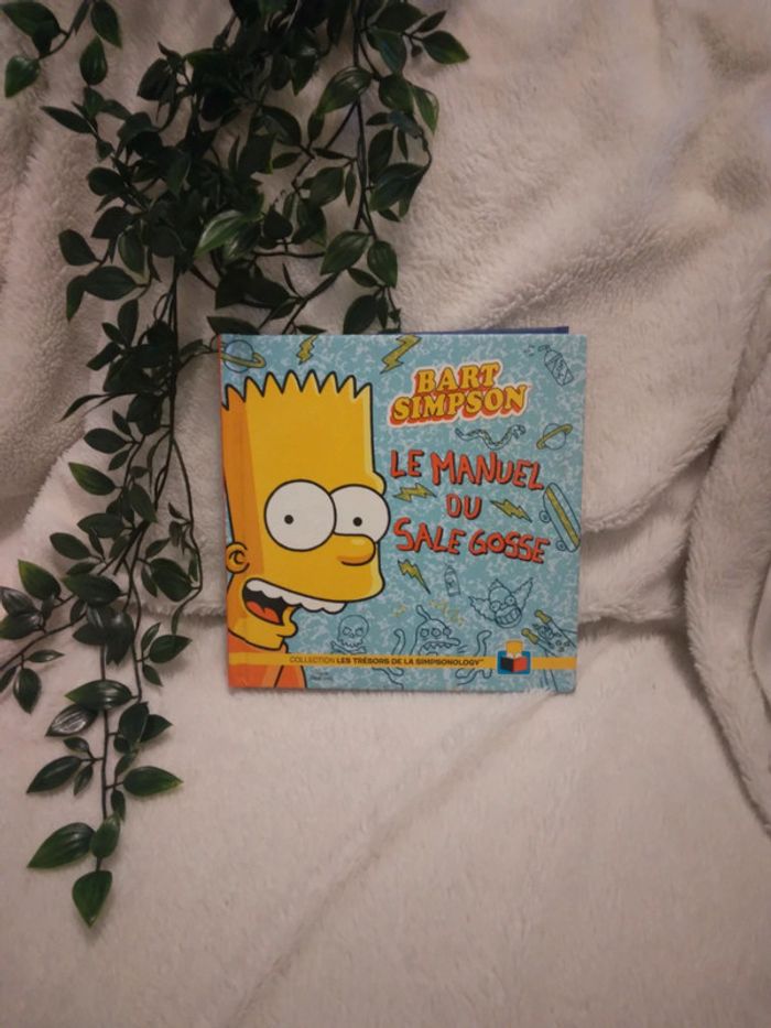 🌸Livre Bart Simpson le manuel du sale gosse🌸