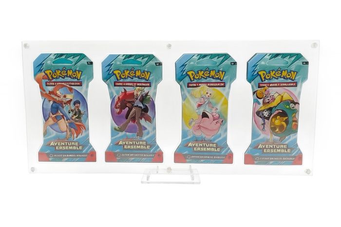 Cadre Plexiglass Haut de Gamme + Artset Pokémon EV09 - Aventures Ensemble