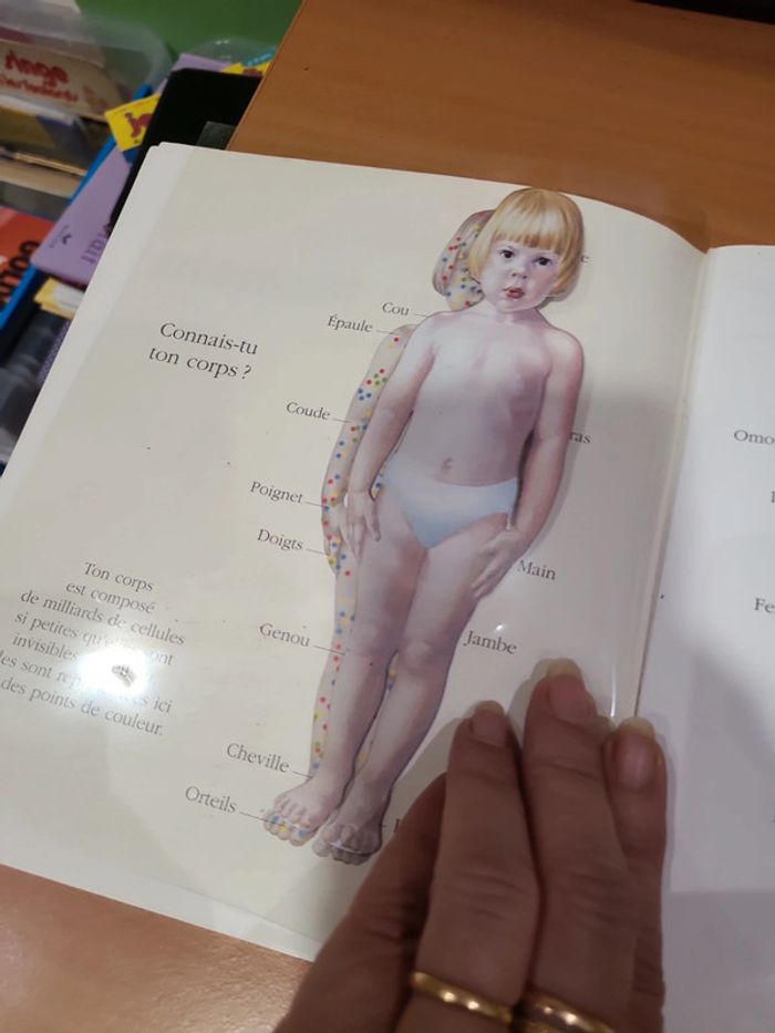 Cache cache avec corps humain - photo numéro 8