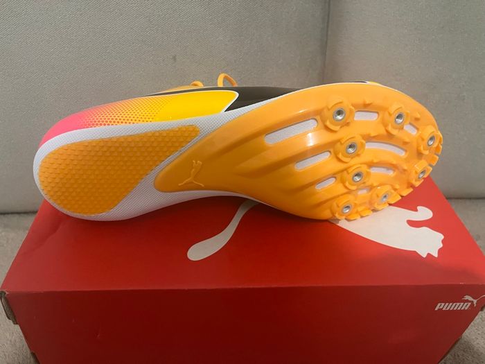 Chaussure de sport - photo numéro 4
