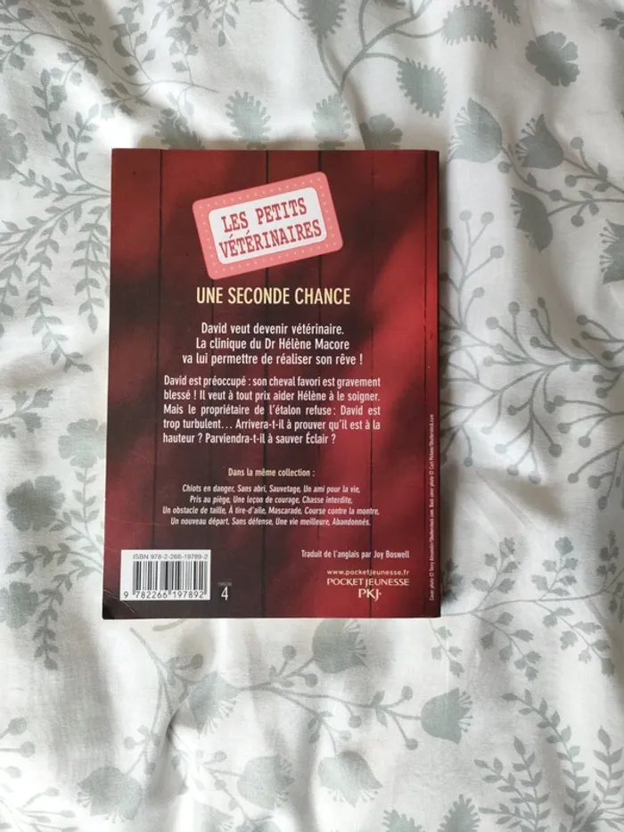 Livre seconde chance - photo numéro 2