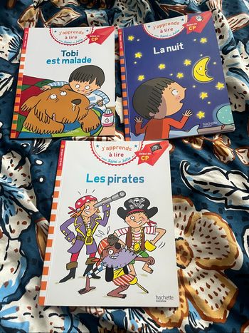 Lot livres Sami et Julie cp