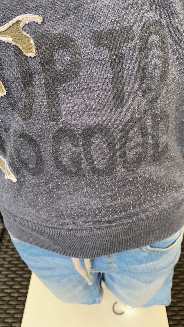 Sweat-shirt dinosaures - photo numéro 2