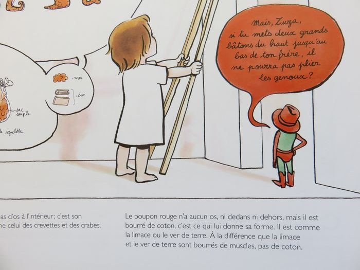 Album 7 à 9 ans : Comment fabriquer son grand frère Un livre d'anatomie et de bricolage. (L'école d - photo numéro 9
