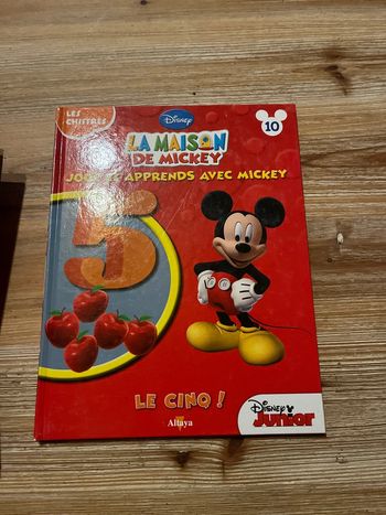 La maison de Mickey 10