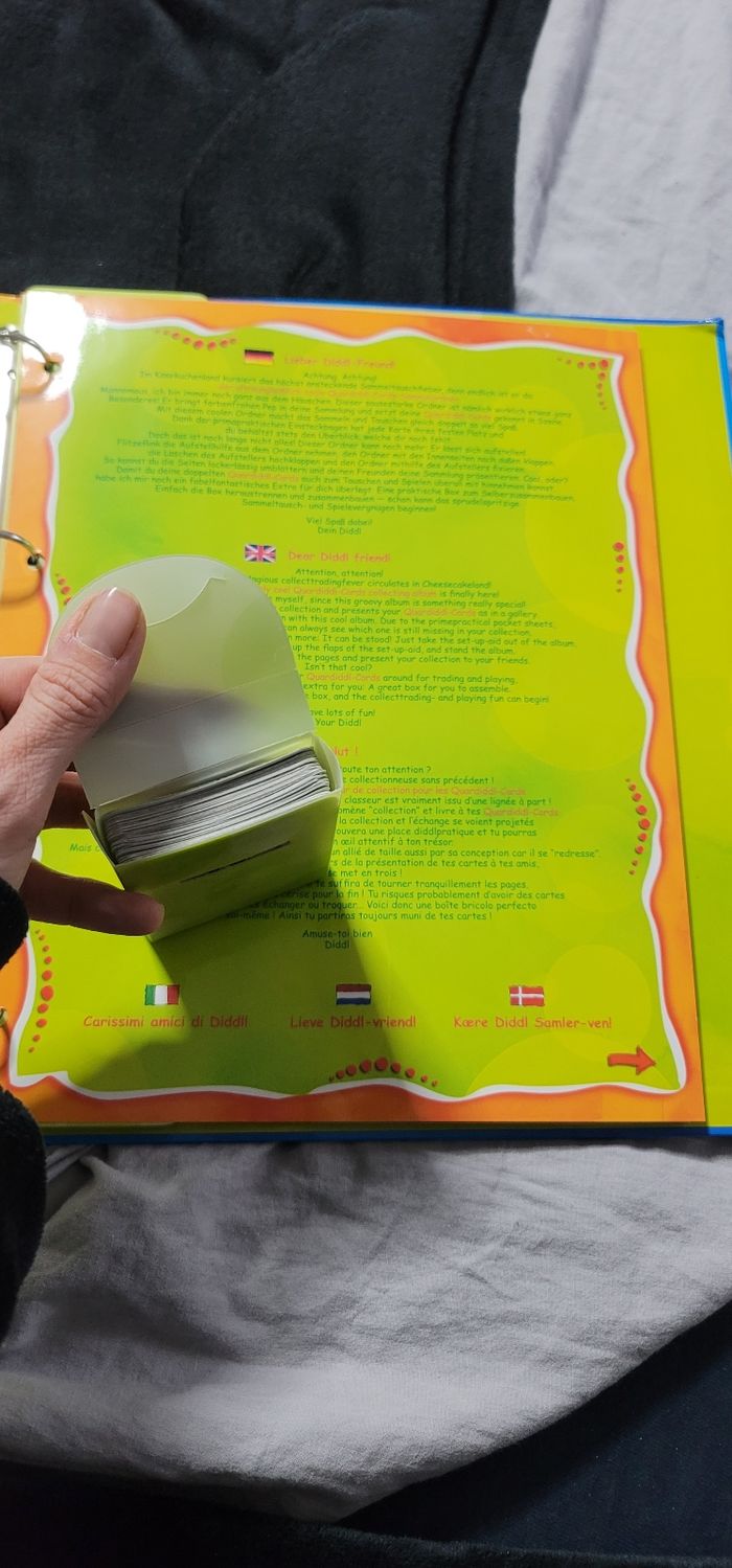 Classeur diddl - photo numéro 3