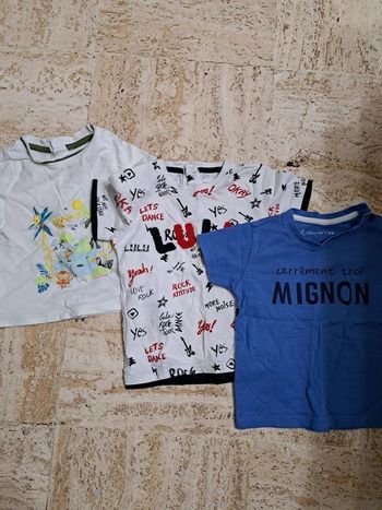 Lot de 14 t-shirts MC bébé garçon 18 mois