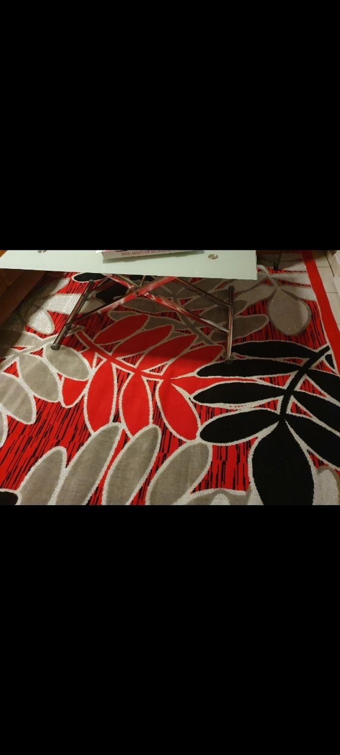Tapis très grand de salon