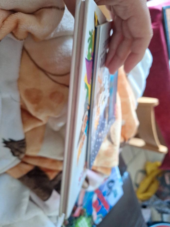 Lot 2 livre enfant - photo numéro 6