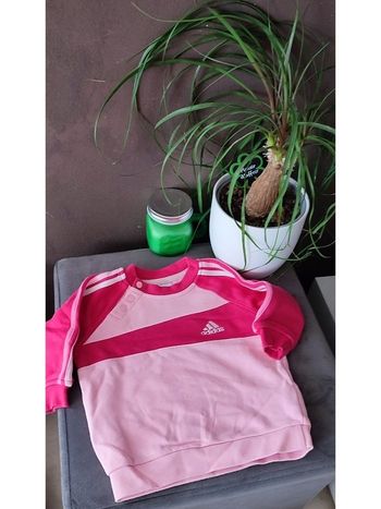 Sweat Adidas 6 mois