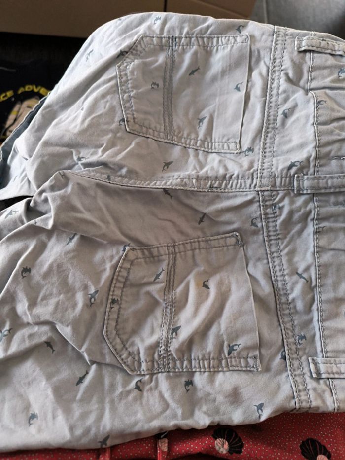 Short Mer requin - photo numéro 5