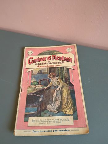 Comtesse et mendiante la destinée roman