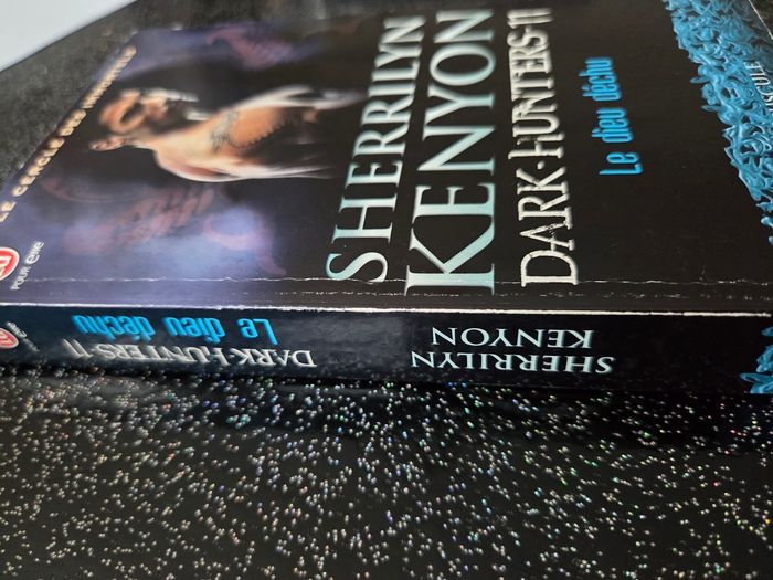 Livre de poche dark hunters tome 11 - photo numéro 3