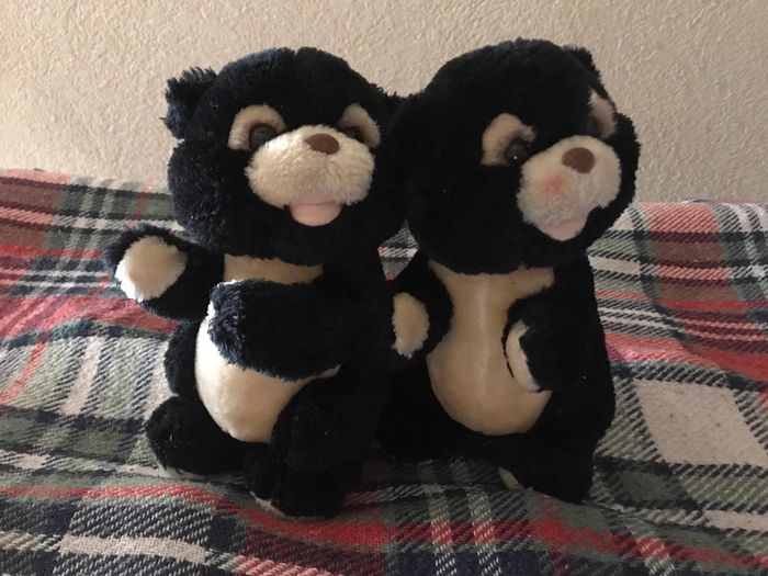 Couple peluches ourson