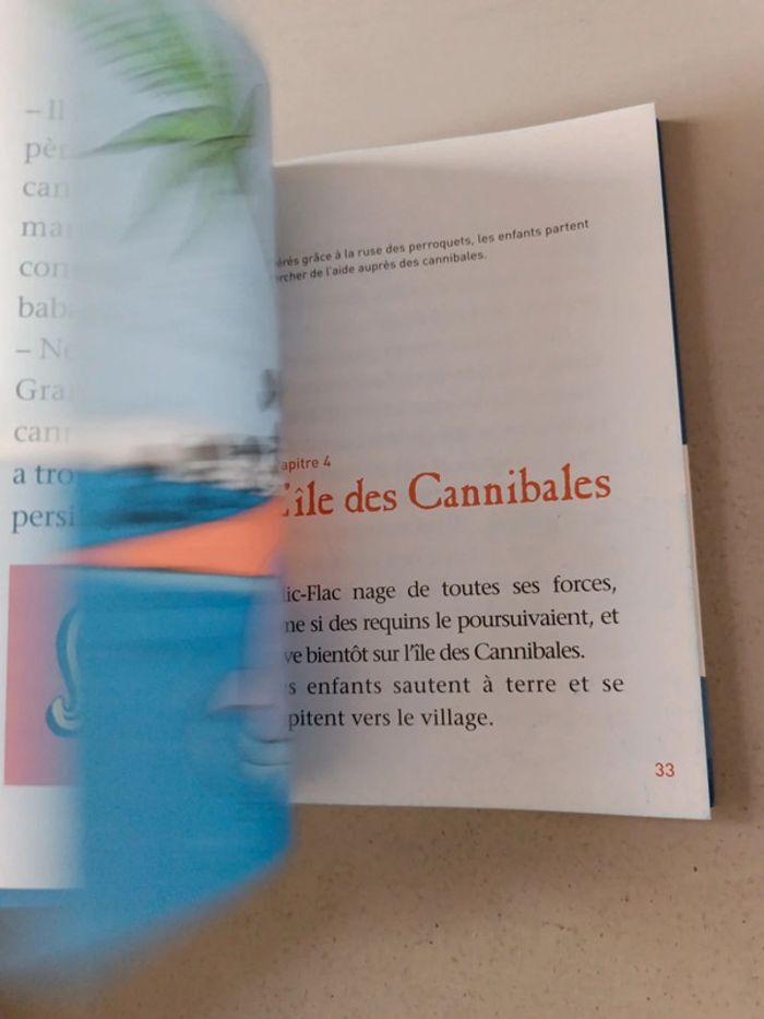 Plume le pirate l'attaque des carnivores et le géant des mers - photo numéro 13