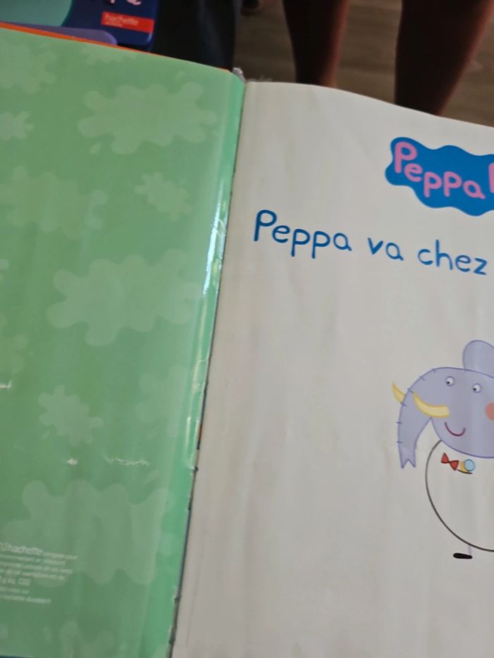 Peppa pig - photo numéro 12