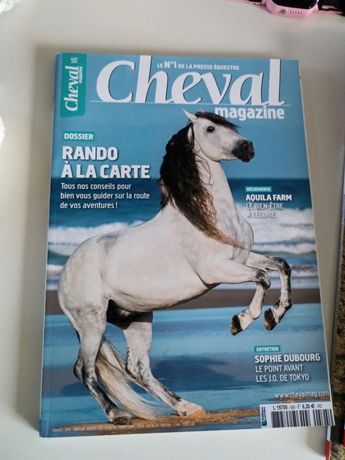 Cheval magazine - photo numéro 6