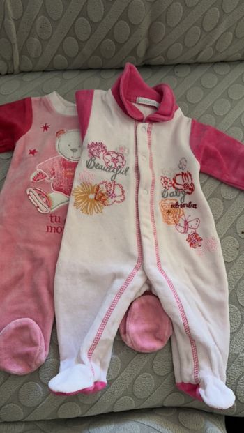 Grenouillère absorba