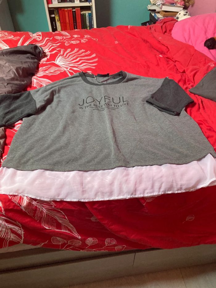 Lot de 2 pulls - photo numéro 5