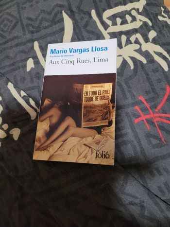 Aux cinq rues Lima Mario Vargas Llosa