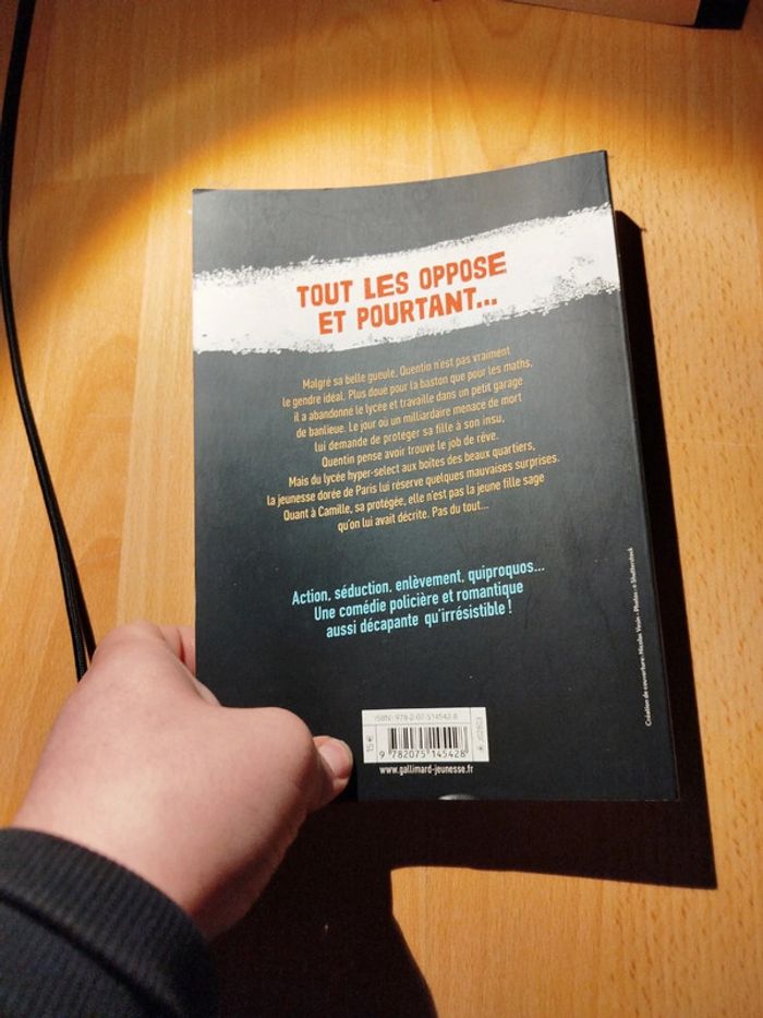 Roman protège la - photo numéro 3