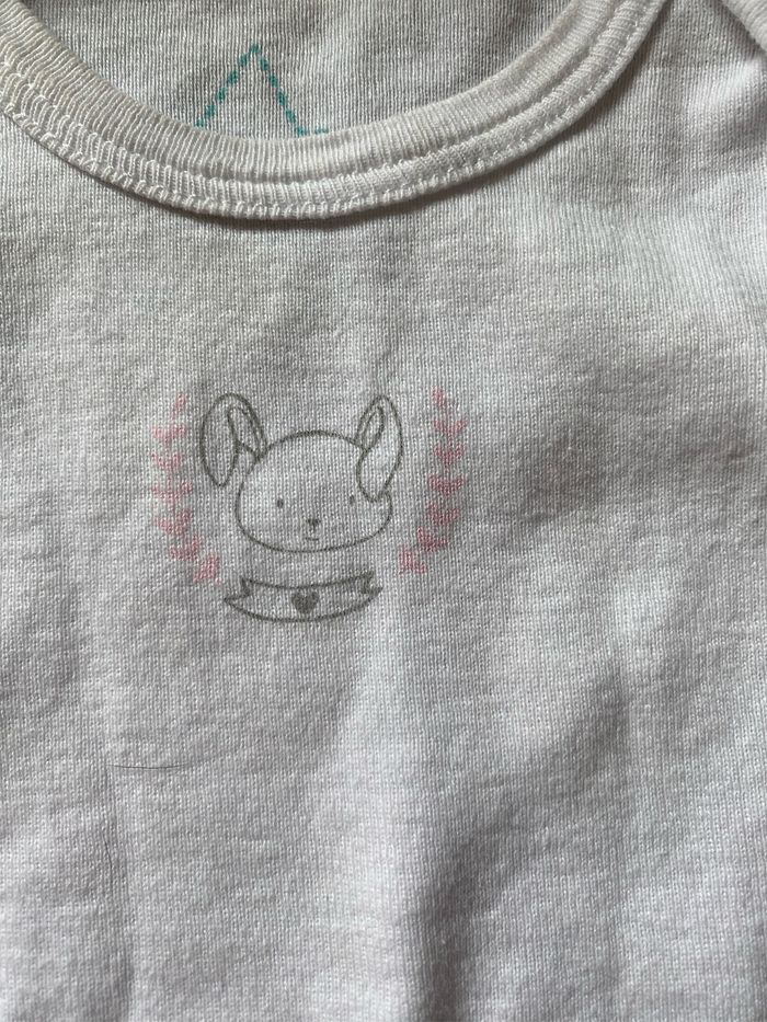 Lot body manche courte 6 mois - photo numéro 3