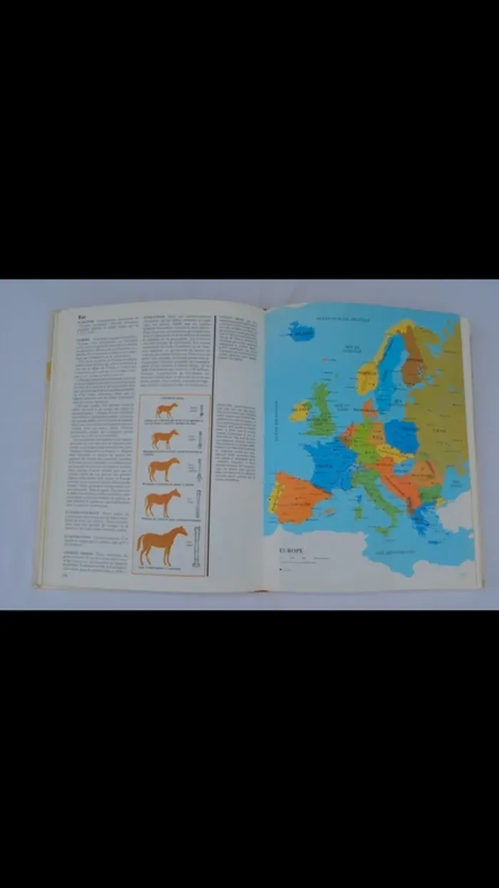 Encyclopédie - photo numéro 3
